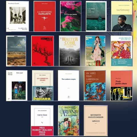 Affiche selection 2027